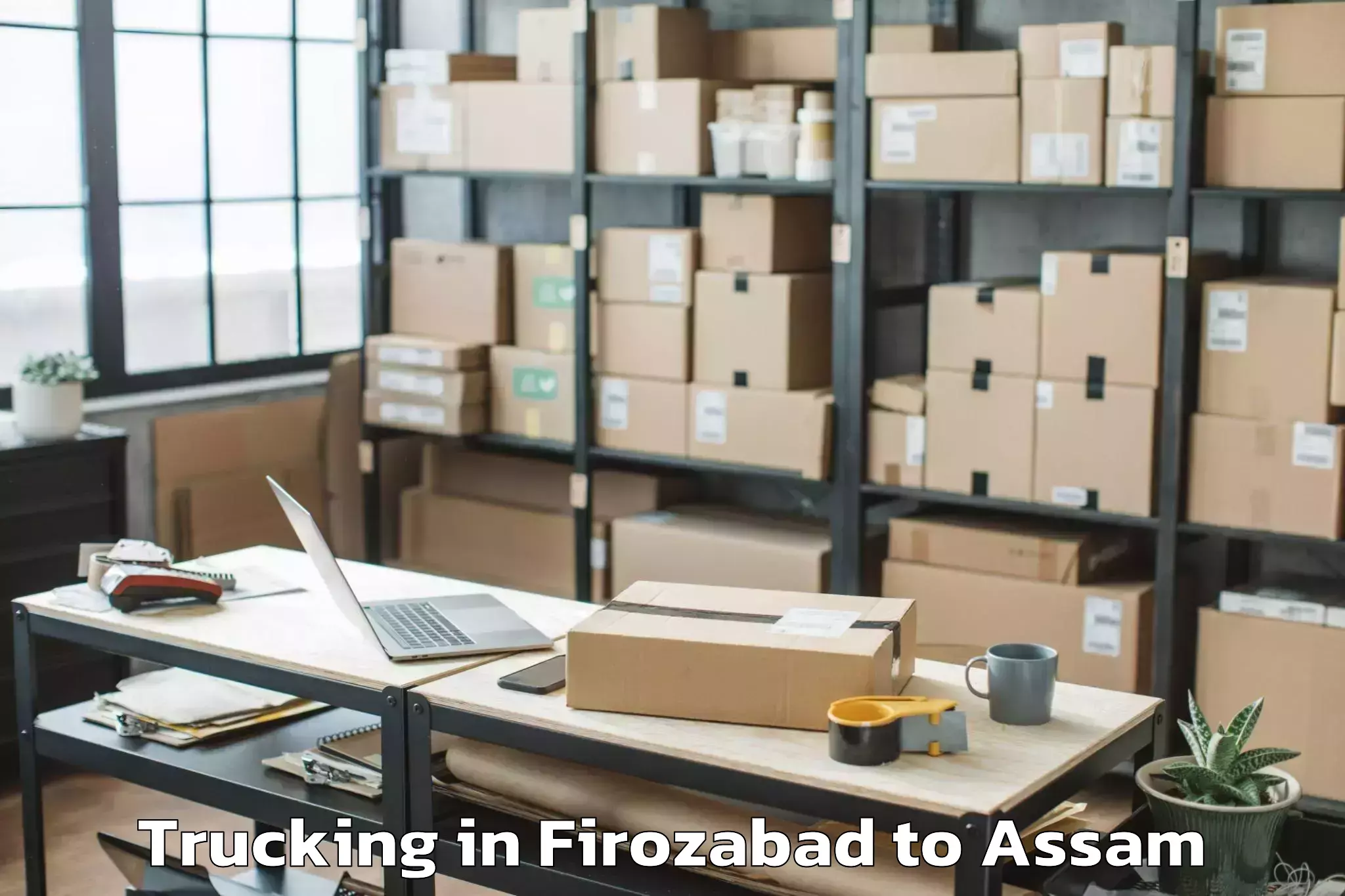 Efficient Firozabad to Khoirabari Pt Trucking